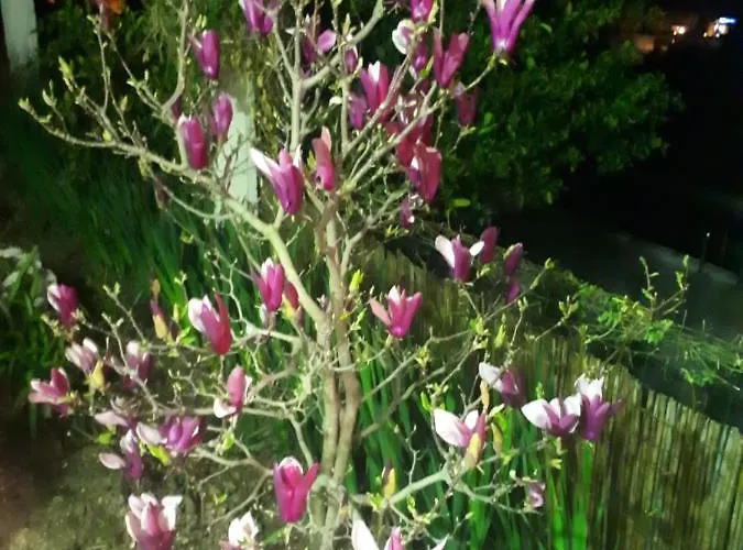 Dom wakacyjny Scents Of Nature-dubrovnik Area Mlini