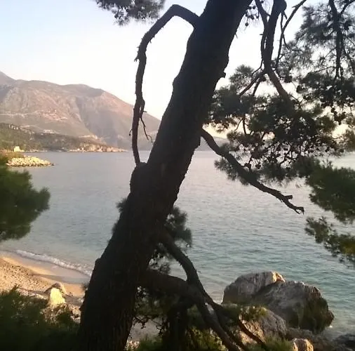 Scents Of Nature-dubrovnik Area Dom wakacyjny Mlini